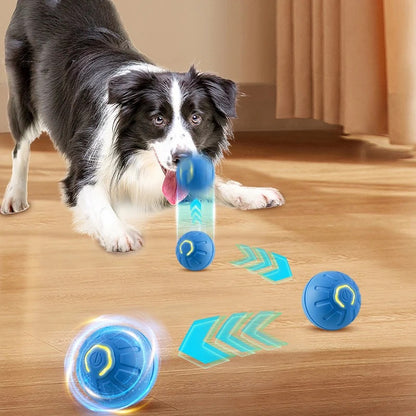 Smart Pet Ball