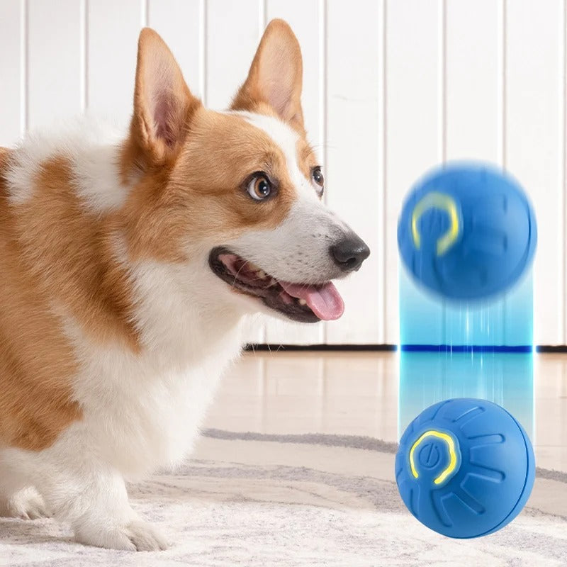 Smart Pet Ball