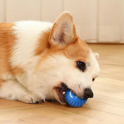 Smart Pet Ball