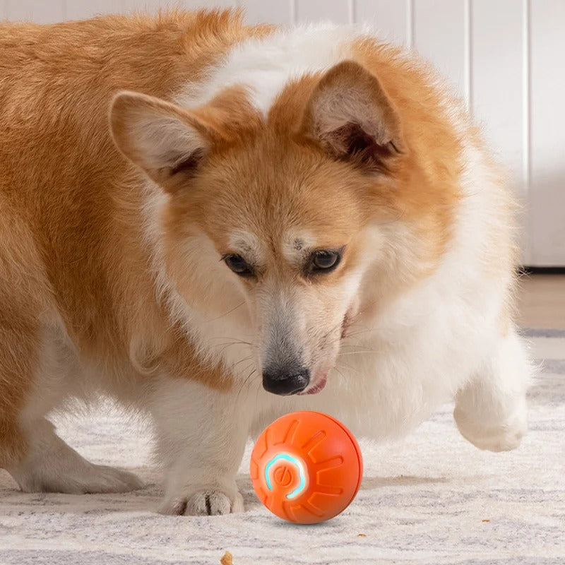 Smart Pet Ball